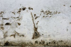 WS Walls - 15.jpg